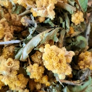 POLETNI ZELIŠČNI ČAJ - OKUS MEDITERANA (Summer herbal tea-Mediterannian taste)