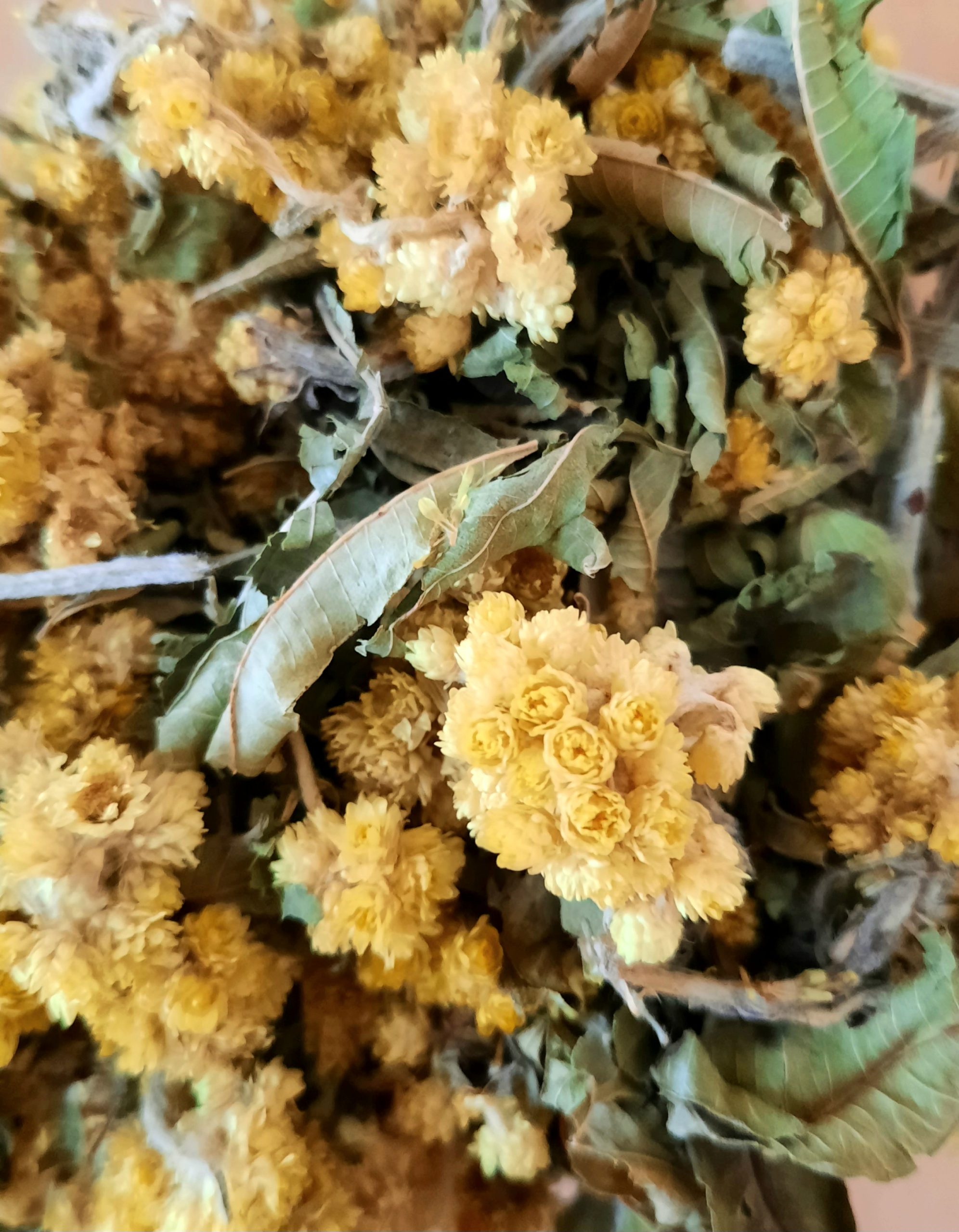 POLETNI ZELIŠČNI ČAJ - OKUS MEDITERANA (Summer herbal tea-Mediterannian taste)